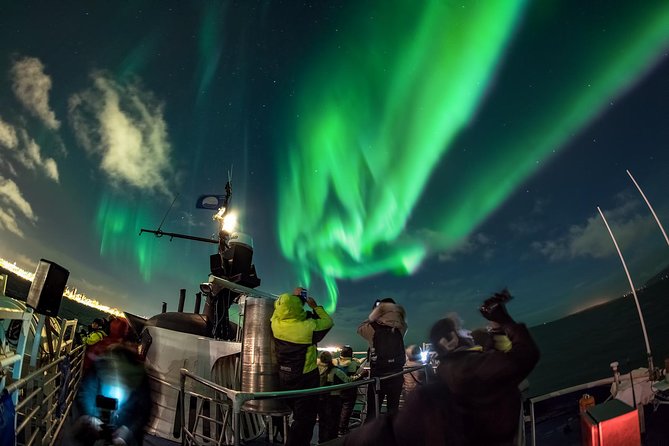 Iceland Super Saver: Northern Lights Cruise plus Whale-Watching Tour from Reykjavik - The role of guides: more than facts, it’s pacing and calm