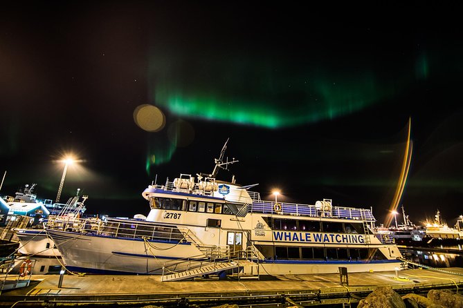 Iceland Super Saver: Northern Lights Cruise plus Whale-Watching Tour from Reykjavik - Getting to the meeting point: Geirsgata 11 in Reykjavik