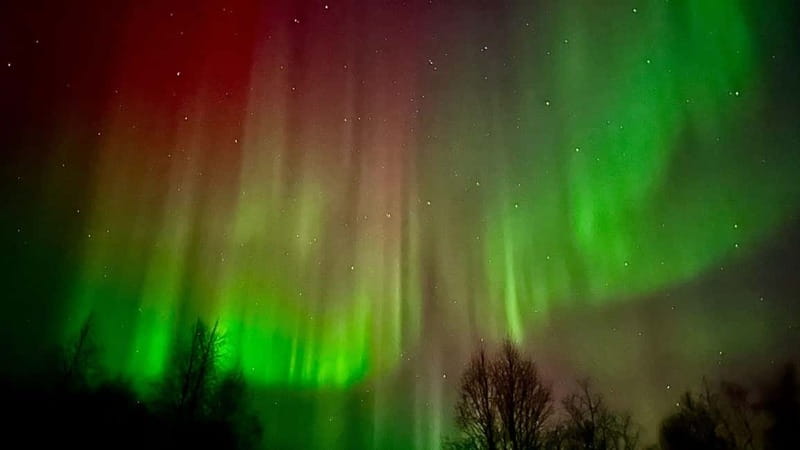 Inari/Ivalo: Aurora Hunting Tour by Car with Warm Drinks - Key points to know before you go