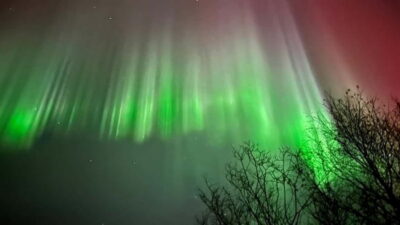 Inari/Ivalo: Aurora Hunting Tour by Car with Warm Drinks - The 4-hour rhythm: how the night gets planned on the fly