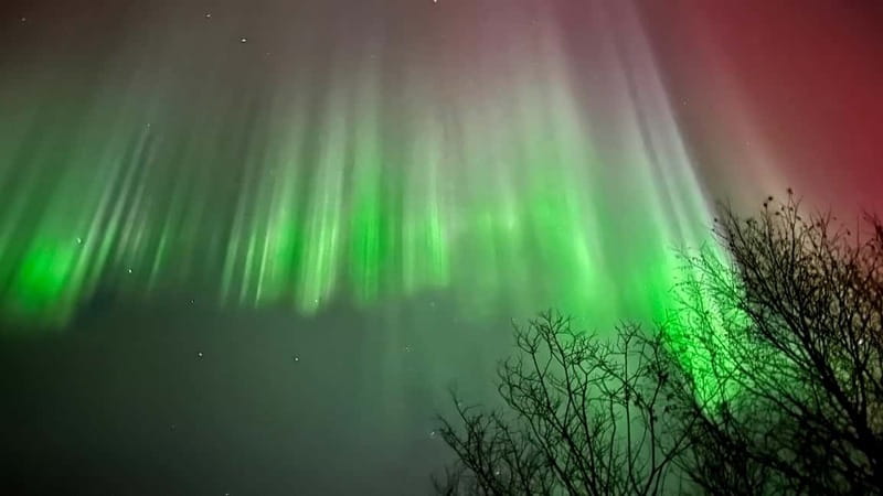 Inari/Ivalo: Aurora Hunting Tour by Car with Warm Drinks - The 4-hour rhythm: how the night gets planned on the fly
