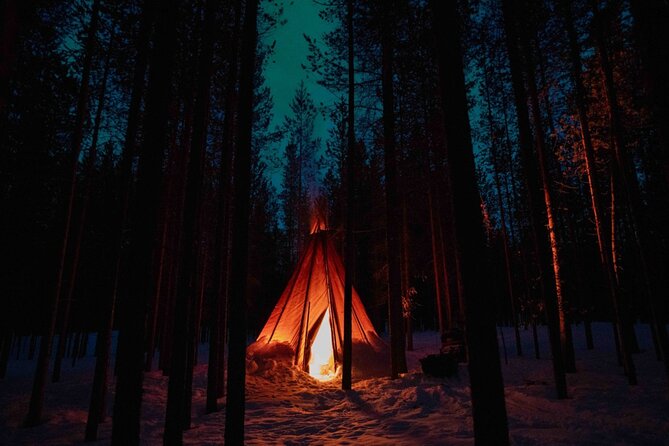 Ivalo: Aurora Hunting with Reindeer - Lapland at reindeer-fence speed: why this format works