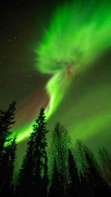 Kemijärvi: Insider Guided Aurora Hunting - Meeting Point Comfort: Academy Hotel to a Warm Aurora Search