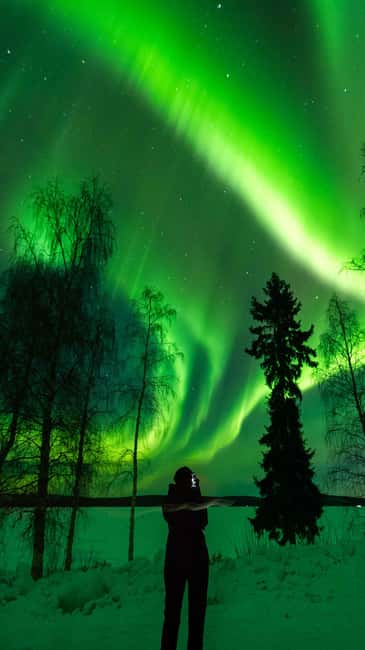 Kemijärvi: Insider Guided Aurora Hunting - If the Lights Don’t Show: How the Plan Protects Your Evening