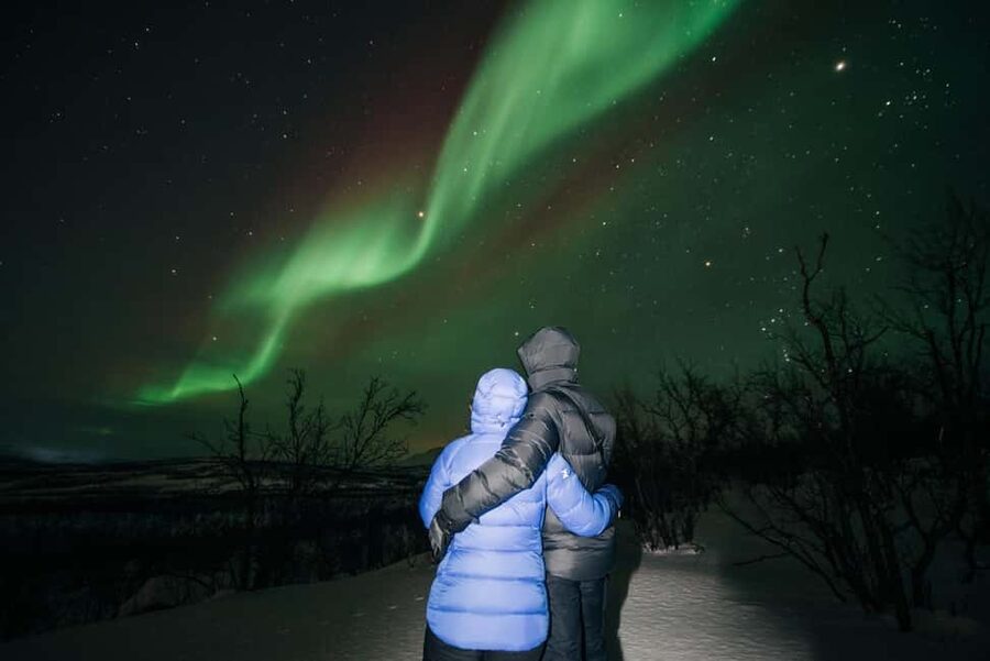 Kiruna: Northern Lights Chase with Car - Small-group van logistics: pickups that keep you from doing math in the dark