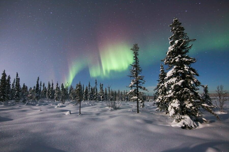Kiruna: Northern Lights Minivan Chase with Warm Drink - Kiruna Northern Lights by minivan: the comfort-first approach
