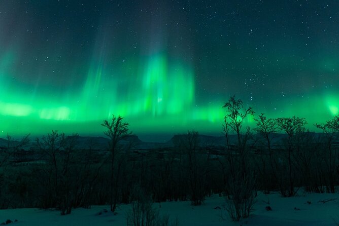 Kiruna Northern Lights Tour with Photographer - Warm-Up Breaks: Snacks, Coffee/Tea, and Fire Moments