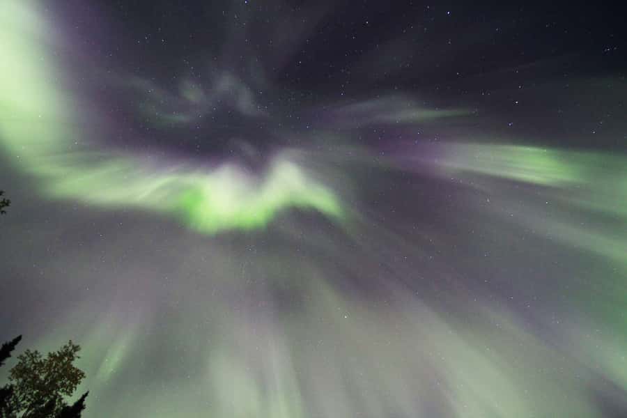 Late Night Yurt Dinner and Northern Lights - The Dinner Part: Home-Cooked Salmon and Real Conversation