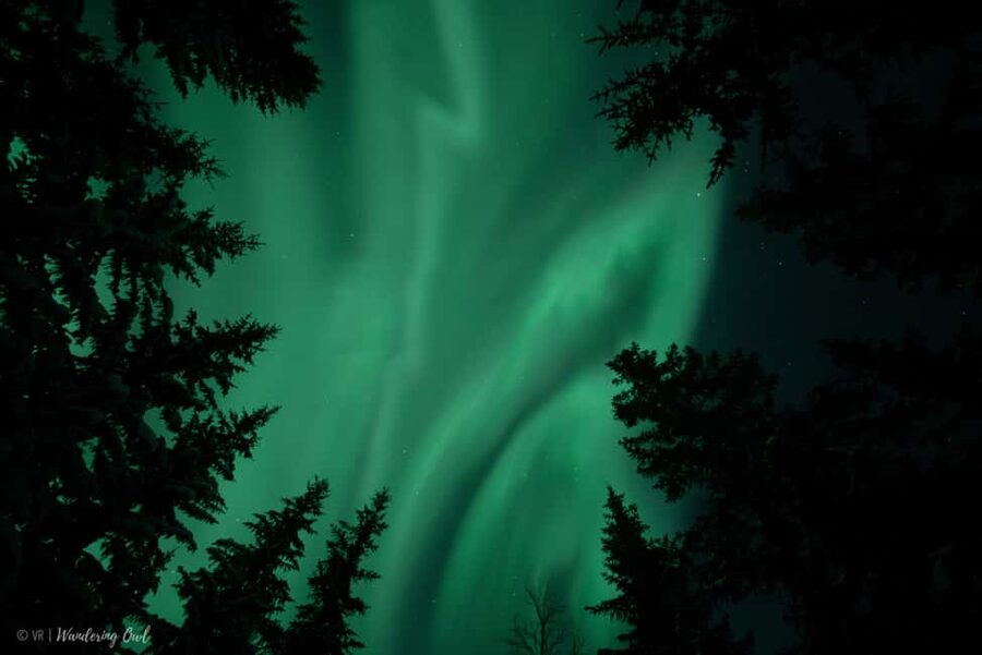 LEVI Adults Only Northern Lights Hunt with Snowshoeing - Why This 6-Hour Aurora Hunt Feels More Like Coaching Than Waiting