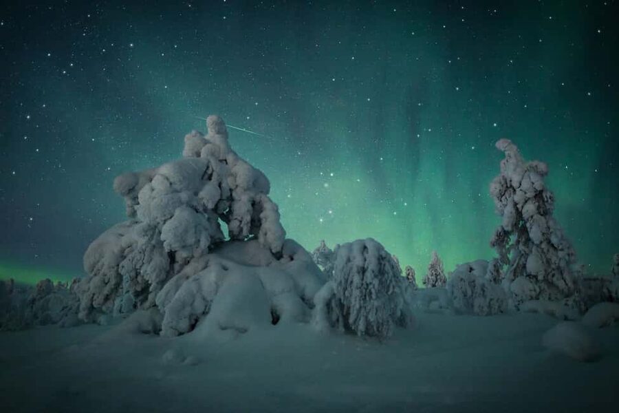 LEVI Adults Only Northern Lights Hunt with Snowshoeing - Entering The Cold Zone: Gear, Comfort, and What You’ll Actually Feel