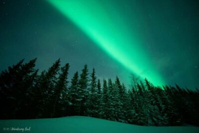 LEVI Adults Only Northern Lights Hunt with Snowshoeing - The Drive Away From City Lights: Your Odds Get Better Before You Even Walk