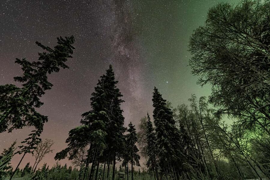 LEVI Adults Only Northern Lights Hunt with Snowshoeing - Sami Culture, Forest Life, and Arctic Stories: The Tour Has More Than One Purpose