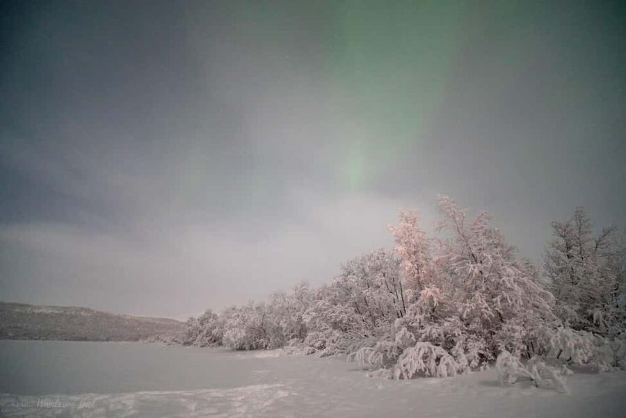 LEVI Adults Only Northern Lights Hunt with Snowshoeing - Who This Tour Fits Best (And Who Should Skip It)
