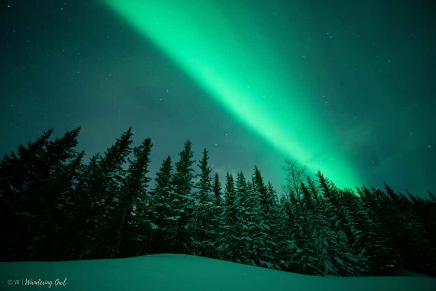 LEVI Adults Only Northern Lights Hunt with Snowshoeing - The Drive Away From City Lights: Your Odds Get Better Before You Even Walk