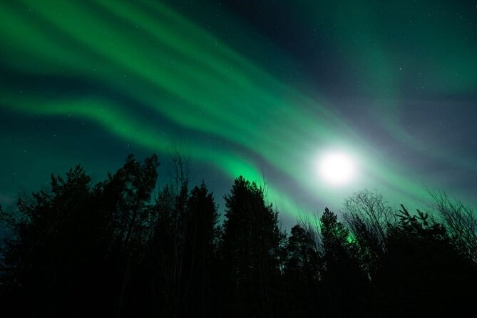 Levi: Aurora Borealis Tour and Stargazing Experience - Optional Snowshoes on the Frozen Lake: Worth It If You Want a Stretch