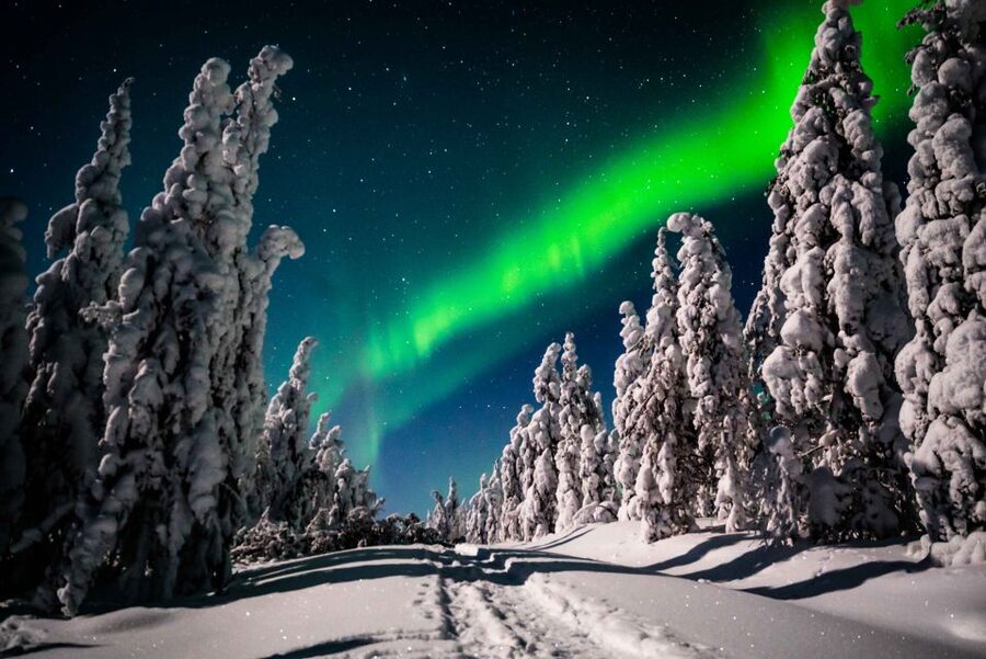 Levi: Best & Original Northern Lights Hunting & photography - Who this Northern Lights photography tour is perfect for