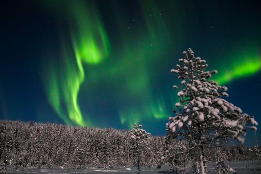 Levi: Northern Lights Campfire - Meeting in Levi and Getting Out There: Safartica Transfers to Open Sky