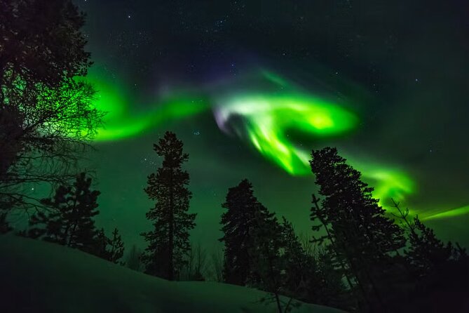 Levi Northern Lights Experience - Key highlights you’ll care about