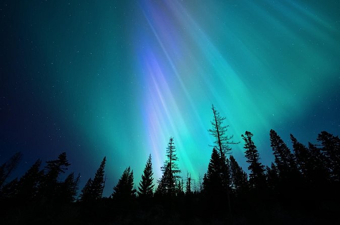 Levi Northern Lights Experience - Snacks, glögi, and the small meals that keep you out there longer