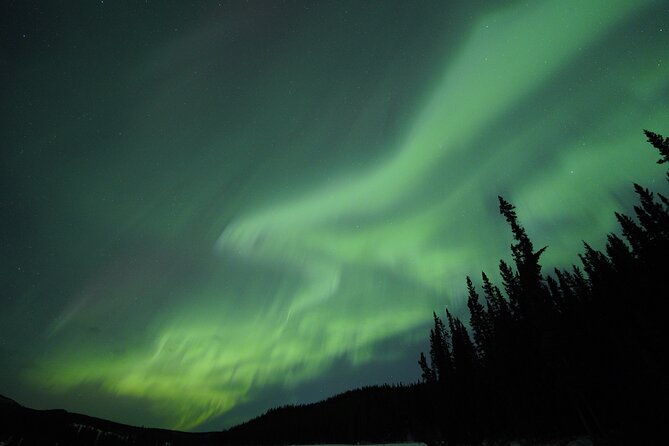Levi Northern Lights Experience - Northern Lights odds: cloudy nights, weak solar activity, and staying patient