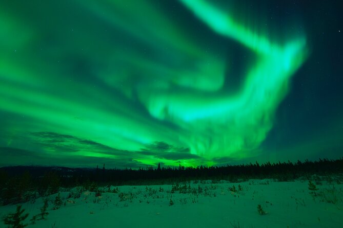 Levi Northern Lights Experience - Price of about $179.82: what you’re paying for and how to judge value