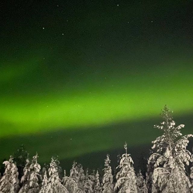 Levi: Northern Lights Hunt Including Campfire Snacks - Campfire picnic: grilled sausage, hot drinks, and a warming fire