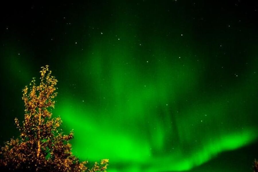 Levi: Northern Lights Hunt Including Campfire Snacks - Who runs it: Easy Travel OY and what to expect from the guiding style