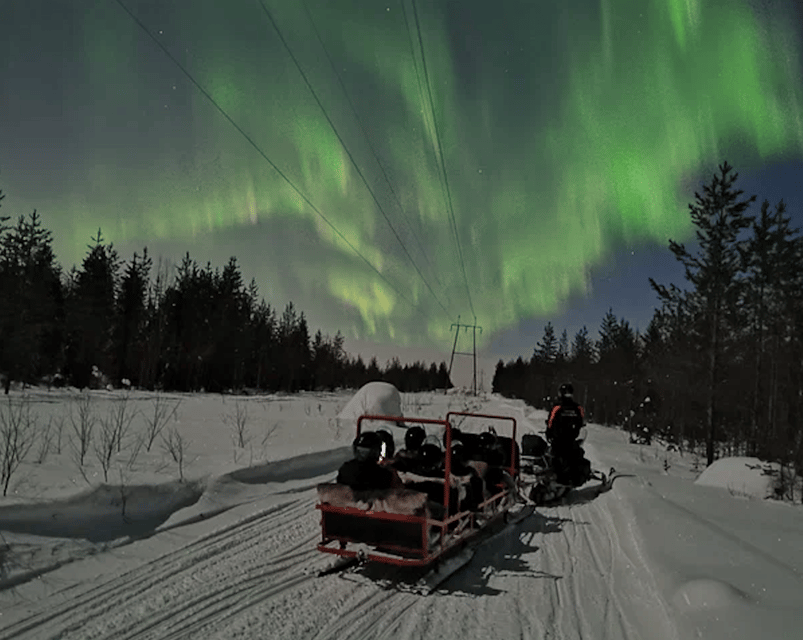 Levi: Northern Lights Sledge Ride - The Arctic Night Hunt: What the 2-Hour Sledge Ride Feels Like