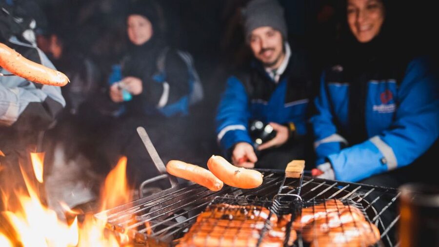 Levi: Northern Lights Snowmobile Tour with Snacks and Drinks - Key things to know before you go