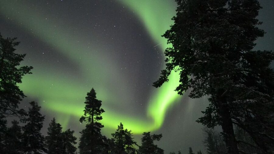 Levi: Northern Lights Snowmobile Tour with Snacks and Drinks - Campfire snacks and hot drinks: cozy, but plan around it