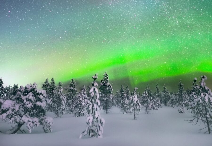 Levi: Northern Lights Snowmobile Tour with Snacks and Drinks - Price value at $199: what you’re really paying for