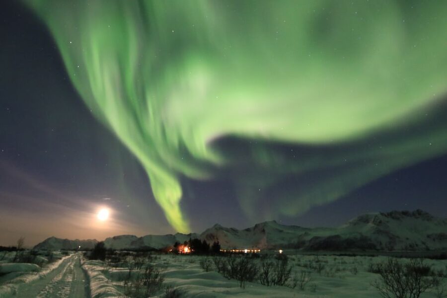 Lofoten: Northern Lights Tour with Photographer - Tripod basics you’ll feel right away