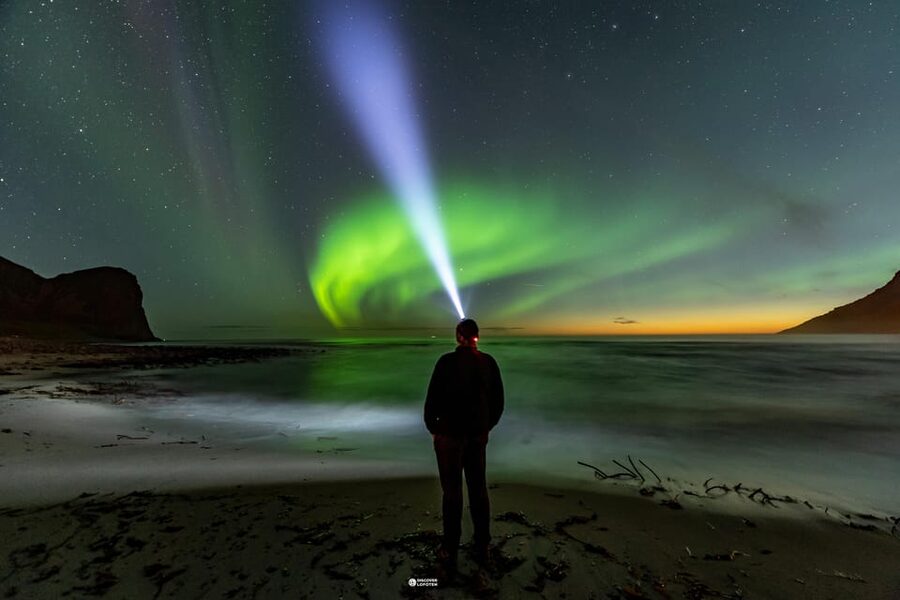Lofoten: The Aurora Jæger – Northern Lights Hunt with Local - Price and value: what you’re paying for at $161 per person