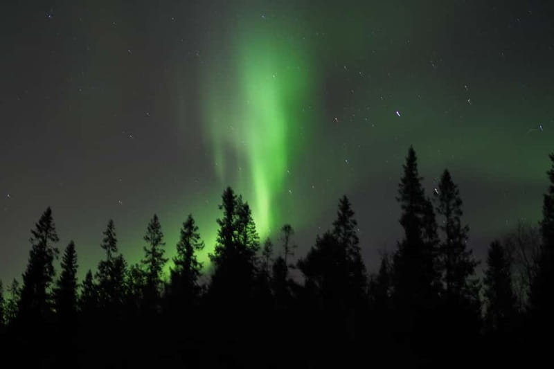 Luleå: Northern Lights Snowshoeing Tour - Where this tour fits in Luleå’s Northern Lights game plan