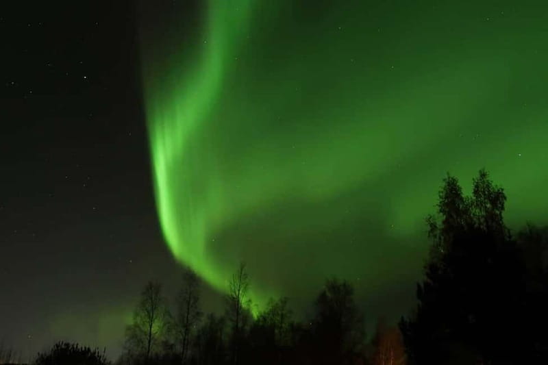 Luleå: Northern Lights Snowshoeing Tour - Gear and comfort: the tour’s quiet advantage