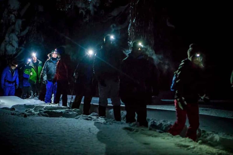 Luleå: Northern Lights Snowshoeing Tour - Learning the sky: myths, colors, and why it helps you watch better