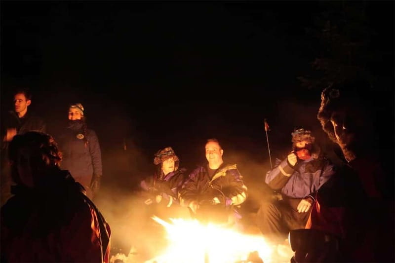 Luleå: Northern Lights Snowshoeing Tour - Who should book this snowshoe-and-aurora tour