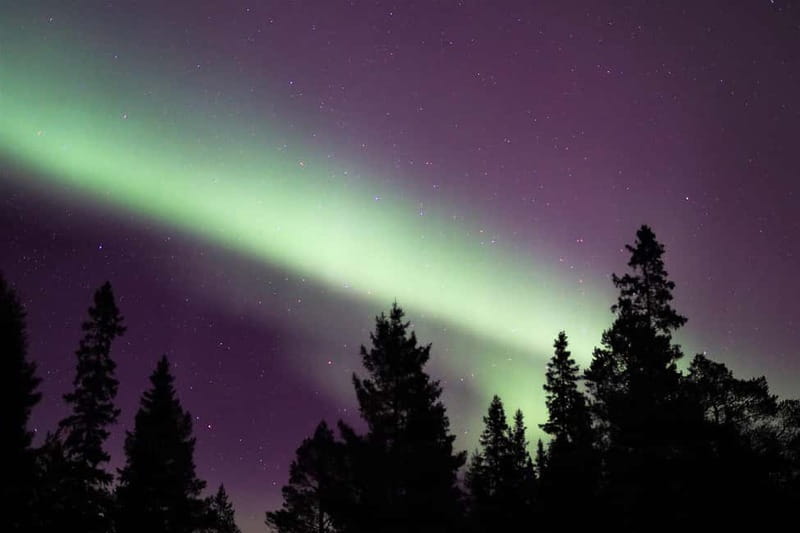 Luleå: Northern Lights Snowshoeing Tour - Price and value: what $142 buys you in the real cold