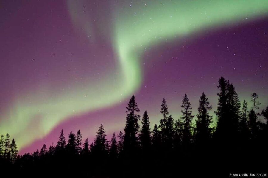 Luleå: Northern Lights Tour by Car with Swedish Treats - Finding the Aurora from Luleå, the smart way