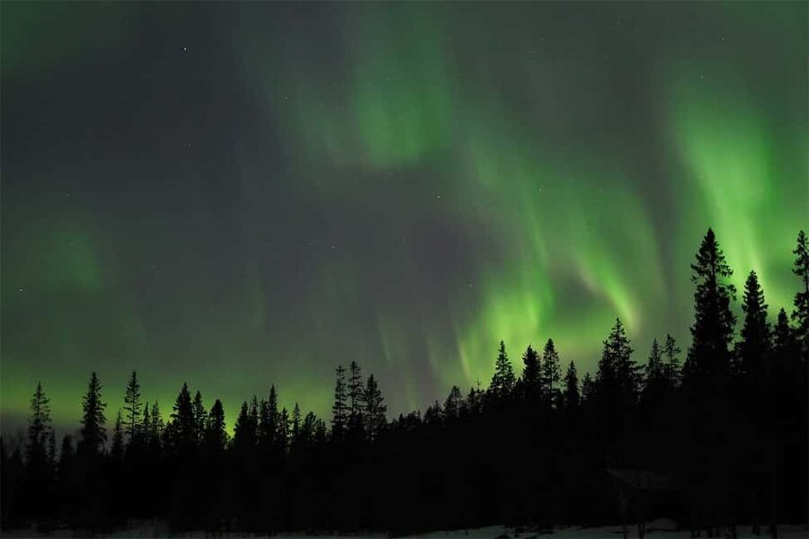 Luleå: Northern Lights Tour by Car with Swedish Treats - What the night actually feels like (3 hours, step by step)