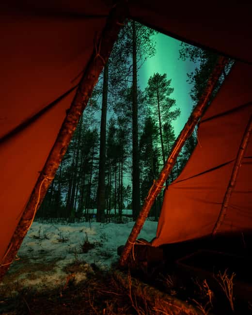 Luleå: Sami Culture, Reindeer, and Northern Lights Tour - Key highlights to know before you go