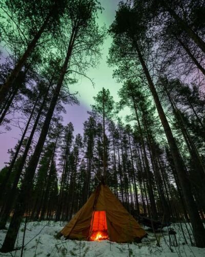 Luleå: Sami Culture, Reindeer, and Northern Lights Tour - Start at First Camp in Luleå: where the night begins