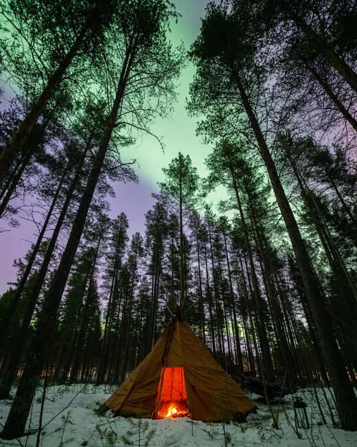 Luleå: Sami Culture, Reindeer, and Northern Lights Tour - Start at First Camp in Luleå: where the night begins
