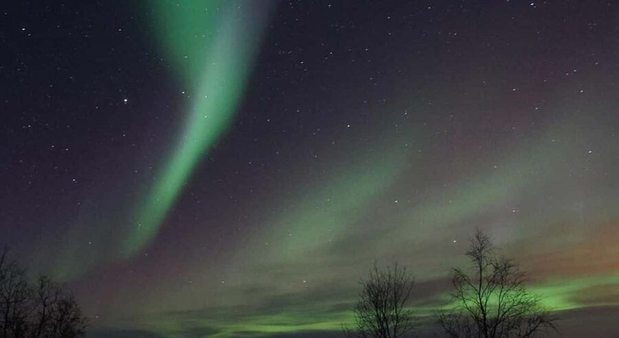 Luleå: Snowmobile Adventures & Northern Lights Hunt - Price and what you’re really buying for $220
