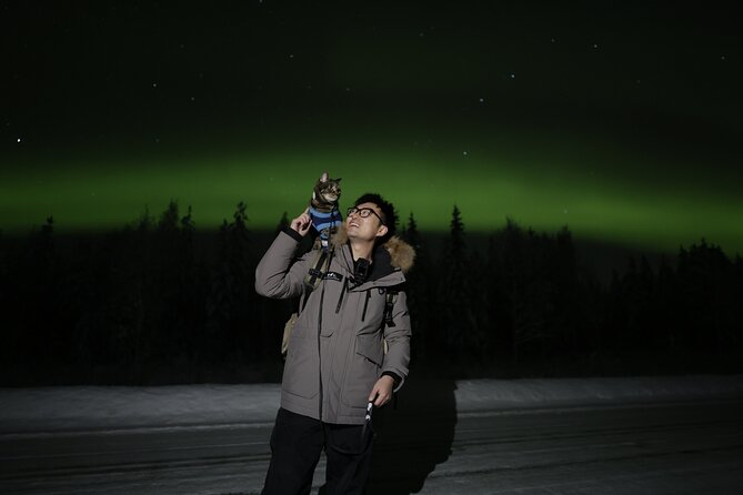 Magical Northern Lights Photography Experience - The 7:00 pm start in Rovaniemi: your odds game plan