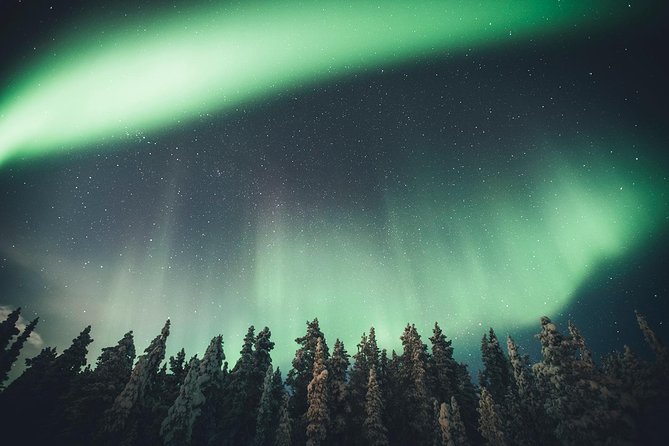 Magical Northern Lights Photography Tour Kiruna - Price and Value: What $203.63 Buys You in Kiruna