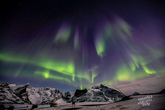 Marianne’s Heaven On Earth Aurora Chaser Tours - How long, how cold, and why the gear matters