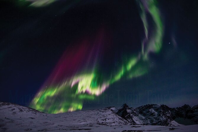 Marianne’s Heaven On Earth Aurora Chaser Tours - Photo expectations: tripods, camera help, and emailed keepsakes