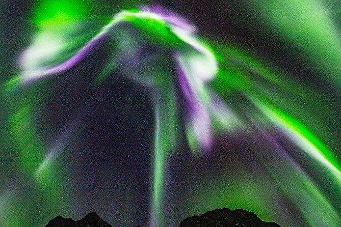 Marianne’s Heaven On Earth Aurora Chaser Tours - Meeting Smørgetorget, then settling in for the long night