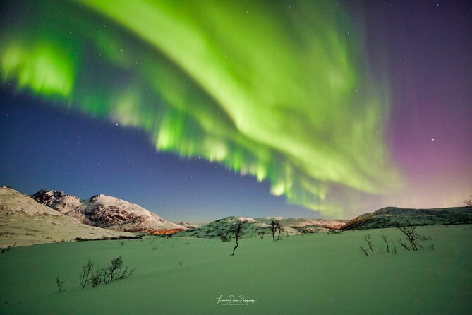Minivan Northern Lights excursion (8 guests per minivan) - The photography reality check: how to get better results without stress